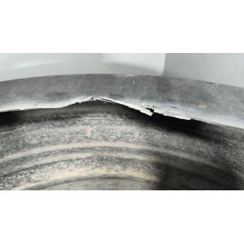 Recambio de tapa guardabarros trasero para renault magnum ab diesel referencia OEM IAM   