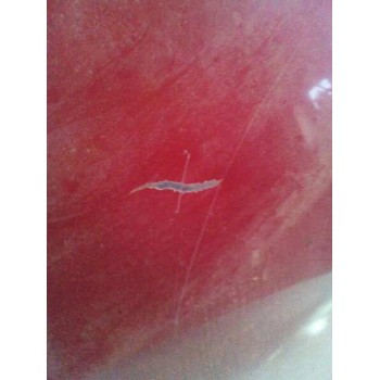 Recambio de capo para peugeot 806 universal studios port aventura referencia OEM IAM   
