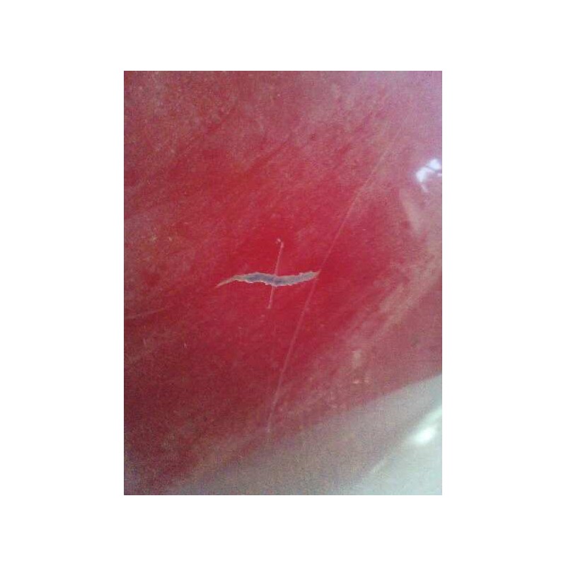 Recambio de capo para peugeot 806 universal studios port aventura referencia OEM IAM - Rojo 5