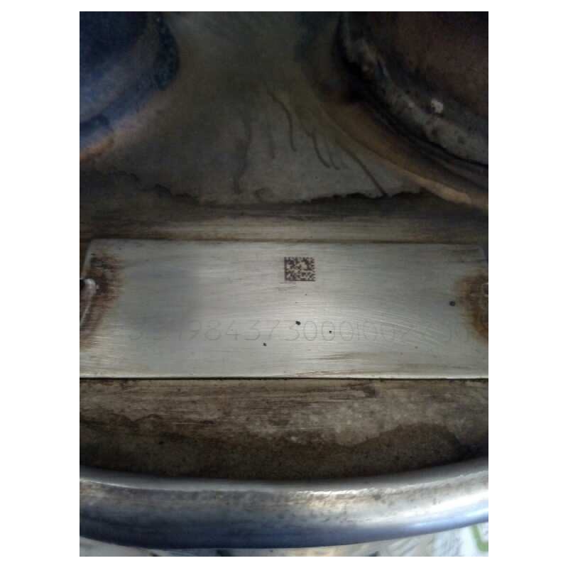 Recambio de catalizador para man tg - l 12.240 12.240 chasis lx referencia OEM IAM S1319843730001002700 - Blanco 2