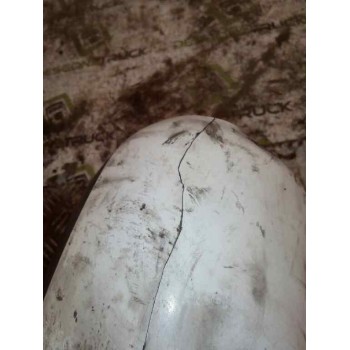Recambio de retrovisor izquierdo para daf serie xf105.xxx fsa 4x2 space-cab referencia OEM IAM 1644307  