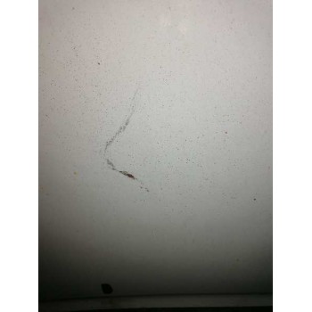 Recambio de capo para ford escort berlina/turnier bravo lim. referencia OEM IAM   