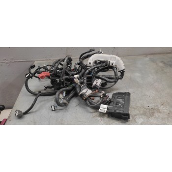 Recambio de instalacion electrica para peugeot 307 (s1) xs referencia OEM IAM   INSTALACION ELECTRICA MOTOR