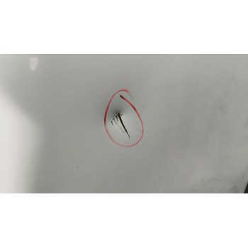 Recambio de puerta delantera izquierda para renault midlum fg xxx.10    e4 cabina doble referencia OEM IAM 5600464823  