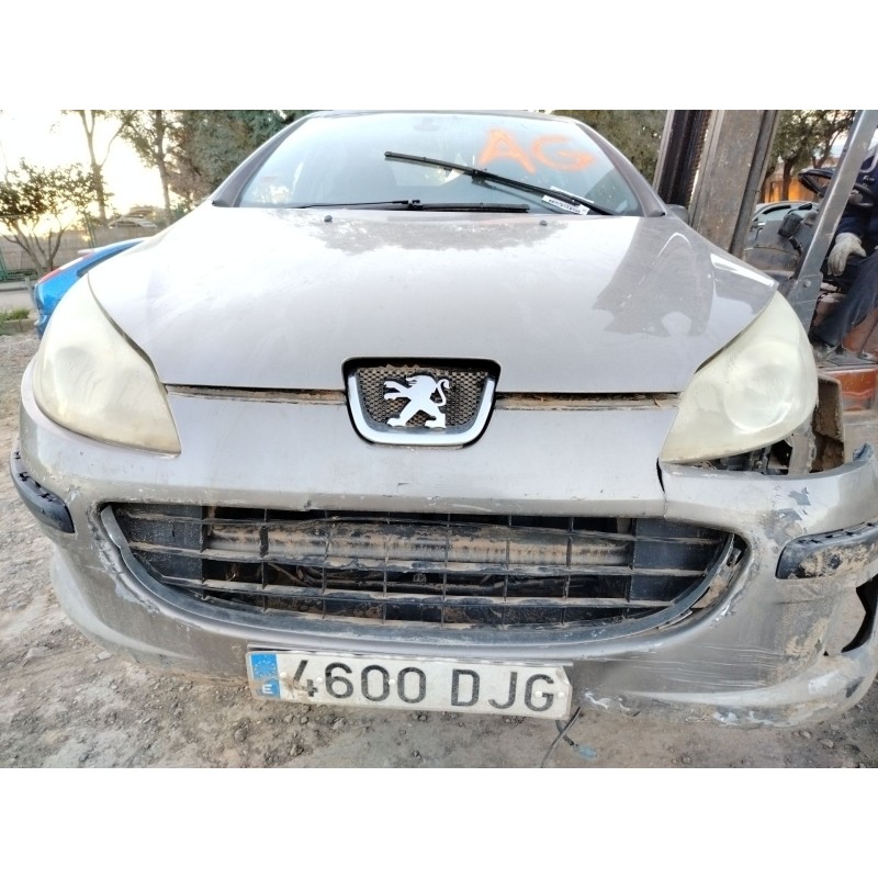PEUGEOT 407 (6D_)