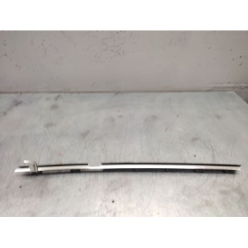 MOLDURA PUERTA TRASERA IZQUIERDA 