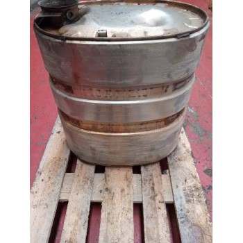 Recambio de catalizador para renault magnum ab diesel referencia OEM IAM 7420920706  