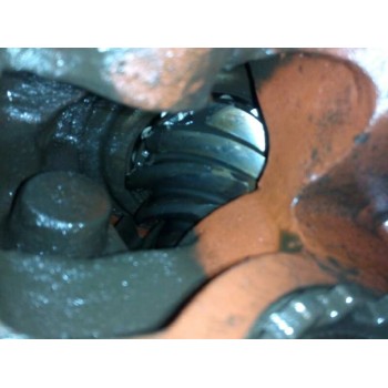 Recambio de grupo para daf trucks 55 fa 55.180 b13 (181cv) referencia OEM IAM 41X9  