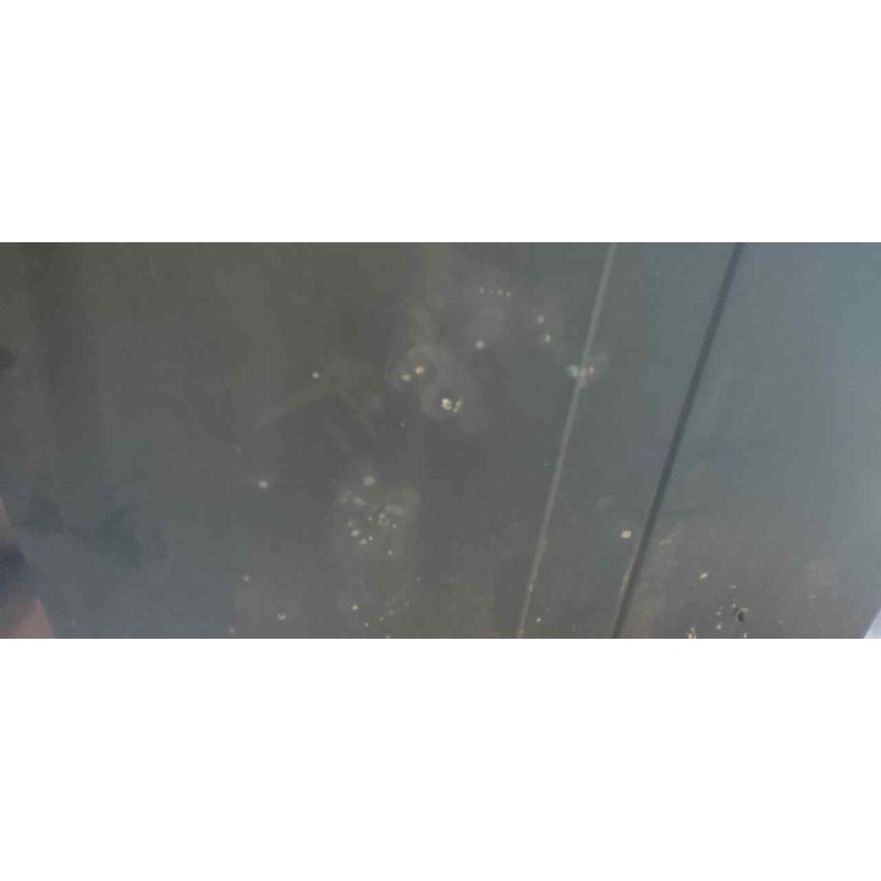 Recambio de capo para nissan patrol (k/w160) familiar (w160) referencia OEM IAM - Verde 4