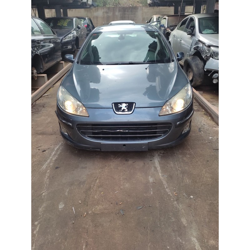 PEUGEOT 407 (6D_)