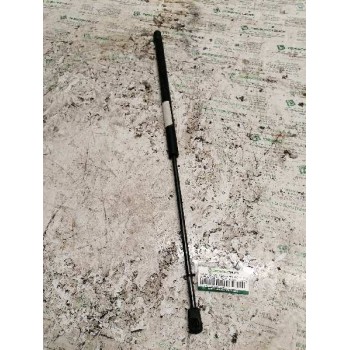 AMORTIGUADORES MALETERO / PORTON 550N 