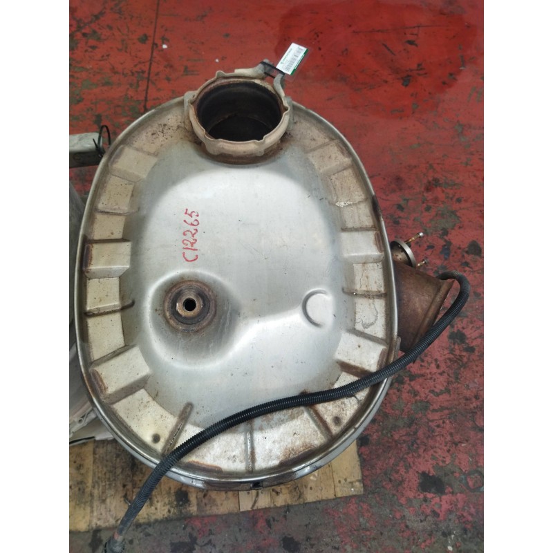 Recambio de catalizador para renault premium lander 10.8 diesel referencia OEM IAM 7420894956 - Blanco 2
