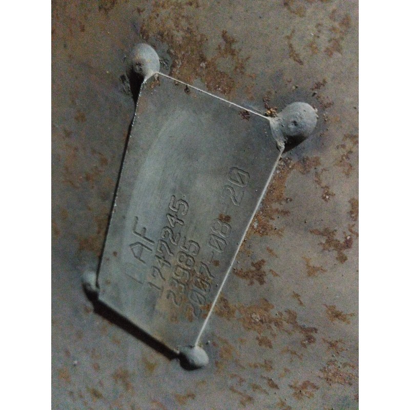 Recambio de catalizador para daf serie xf105.410 fsa 4x2 space-cab referencia OEM IAM 1747245 - Amarillo 4