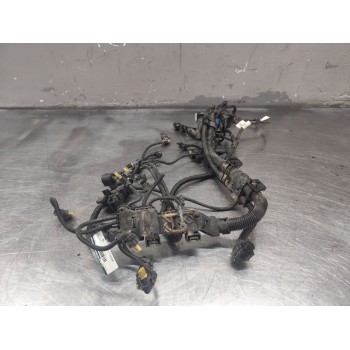 CABLEADO MOTOR 950057304 