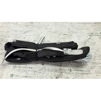 Recambio de airbag cortina delantero derecho para renault megane ii berlina 5p confort authentique referencia OEM IAM 8200105860