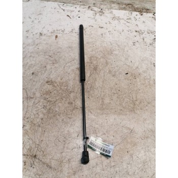 AMORTIGUADORES MALETERO / PORTON 360N