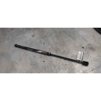 AMORTIGUADORES MALETERO / PORTON 350N