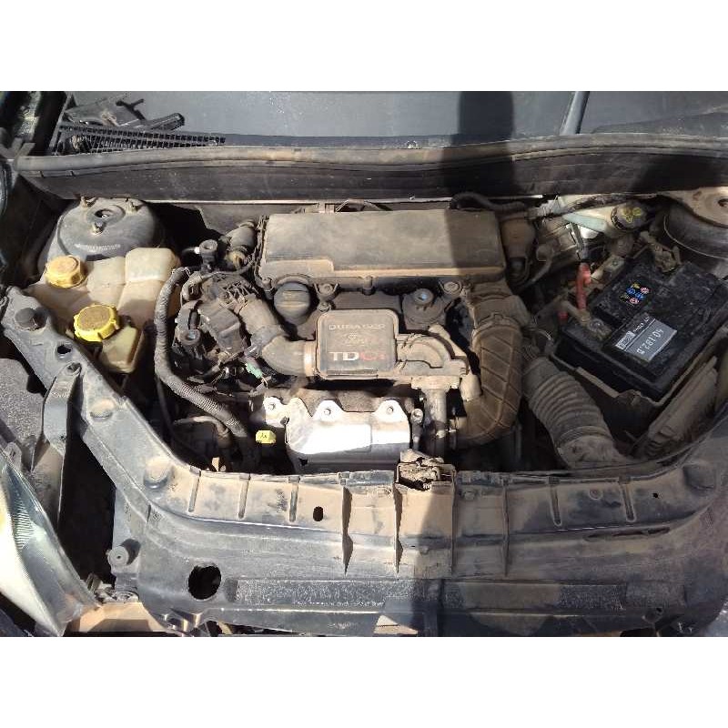 FORD FUSION (CBK)