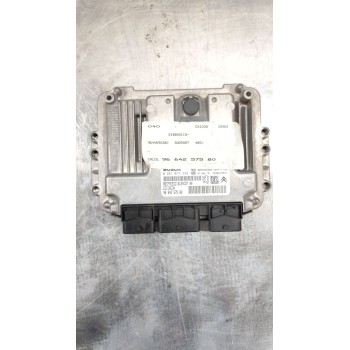 CENTRALITA BCM 9664257580 021013332