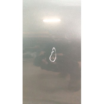 Recambio de puerta trasera izquierda para peugeot 206 berlina xr referencia OEM IAM   