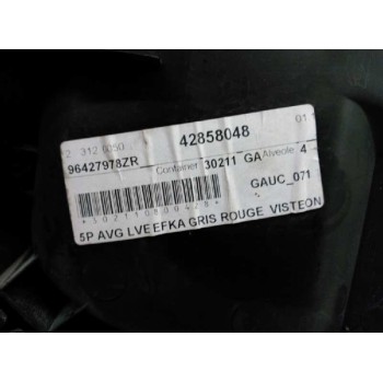 Recambio de guarnecido puerta delantera izquierda para peugeot 206 berlina x-line referencia OEM IAM   