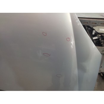 Recambio de capo para citroën c5 berlina 2.0 hdi cat (rhz / dw10ated) referencia OEM IAM   