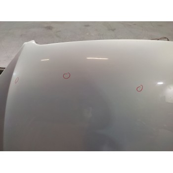 Recambio de capo para citroën c5 berlina 2.0 hdi cat (rhz / dw10ated) referencia OEM IAM   