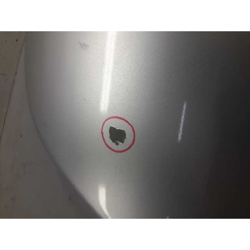 Recambio de capo para volkswagen new beetle (9c1/1c1) referencia OEM IAM - Gris 2