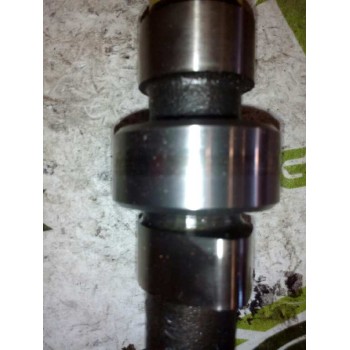 Recambio de arbol de levas para nissan trucks atleon 120 referencia OEM IAM G2440 BD30 