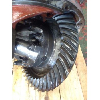 Recambio de grupo para daf trucks f 2300 fa 2300 ht (228cv) referencia OEM IAM 2255 4.10 1B089