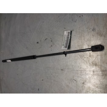 AMORTIGUADORES MALETERO / PORTON GN600450 