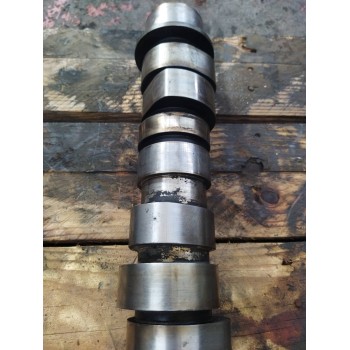 Recambio de arbol de levas para renault magnum ab 2005 12.8 diesel referencia OEM IAM 20757636  