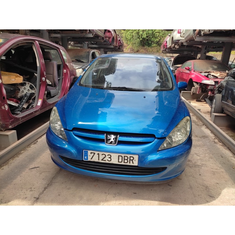 PEUGEOT 307 (S1)