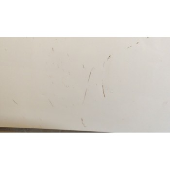 Recambio de capo para peugeot 107 urban move referencia OEM IAM   