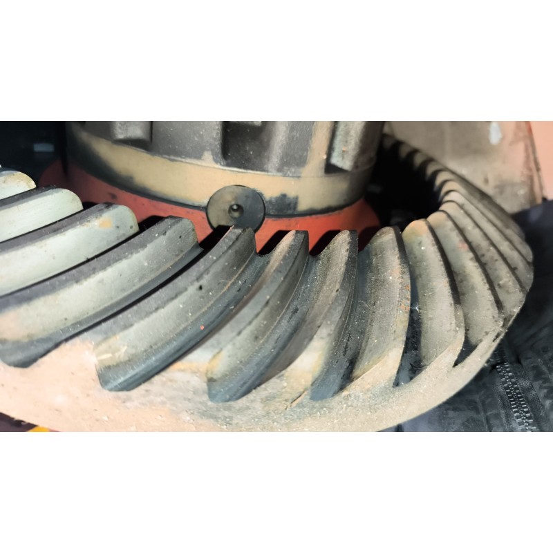 Recambio de grupo para iveco eurotech (mp) 9.5 diesel referencia OEM IAM 153E A13200V1530456 RATIO:1/456/9X41 4