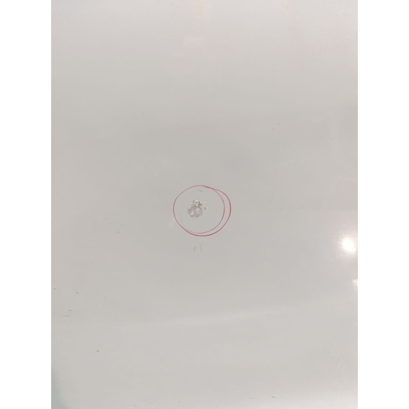 Recambio de puerta trasera derecha para seat leon (1p1) 1.6 tdi referencia OEM IAM - Blanco 4