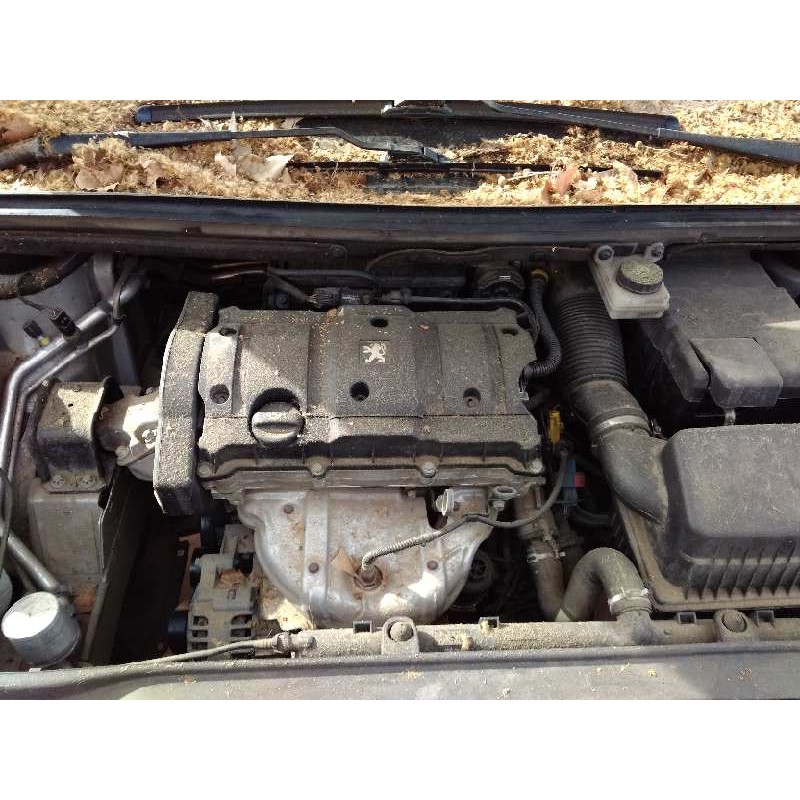 PEUGEOT 307 (S1)