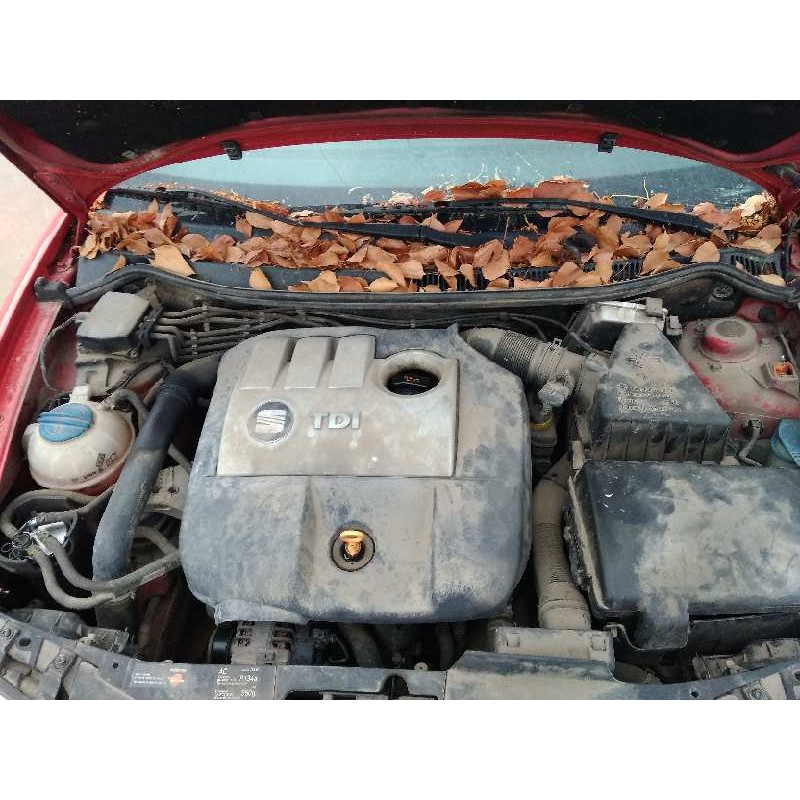 SEAT IBIZA (6L1)