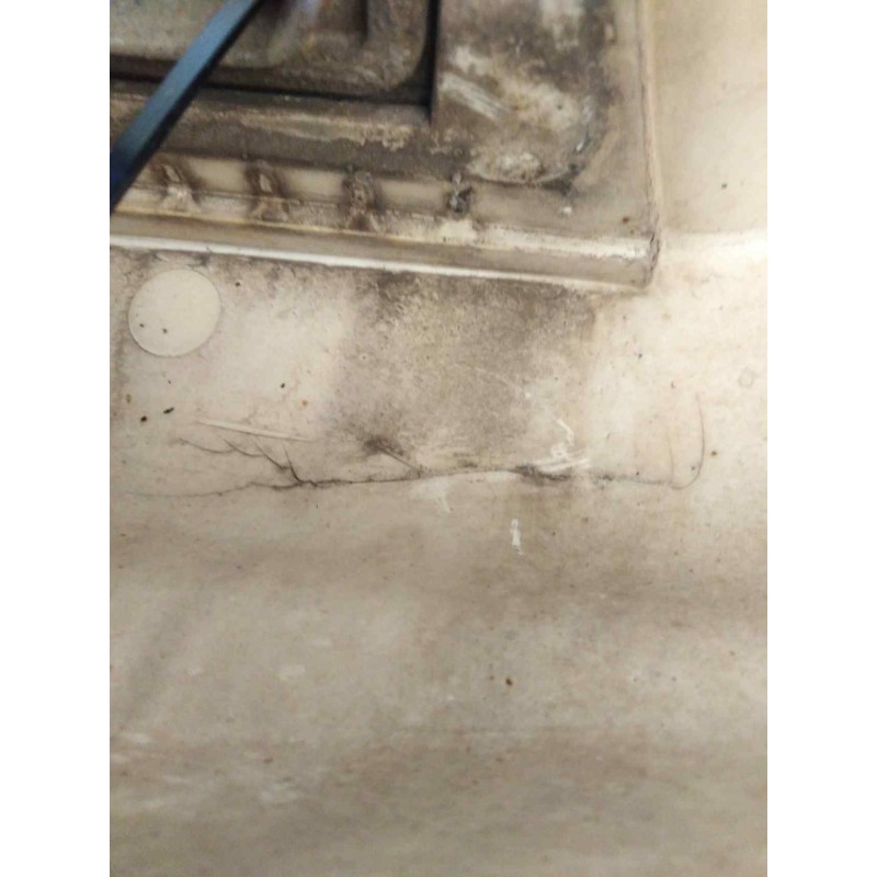 Recambio de peldaño izquierdo para daf serie 95 xf .480 12.6 diesel referencia OEM IAM - Blanco 3