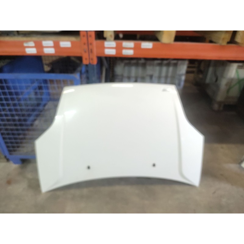 Recambio de capo para ford fiesta (cbk) ambiente referencia OEM IAM - Blanco 4
