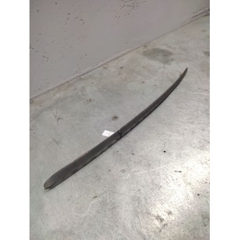 LAMEAGUAS IZQUIERDO 