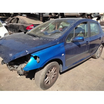 PEUGEOT 307 (S1)