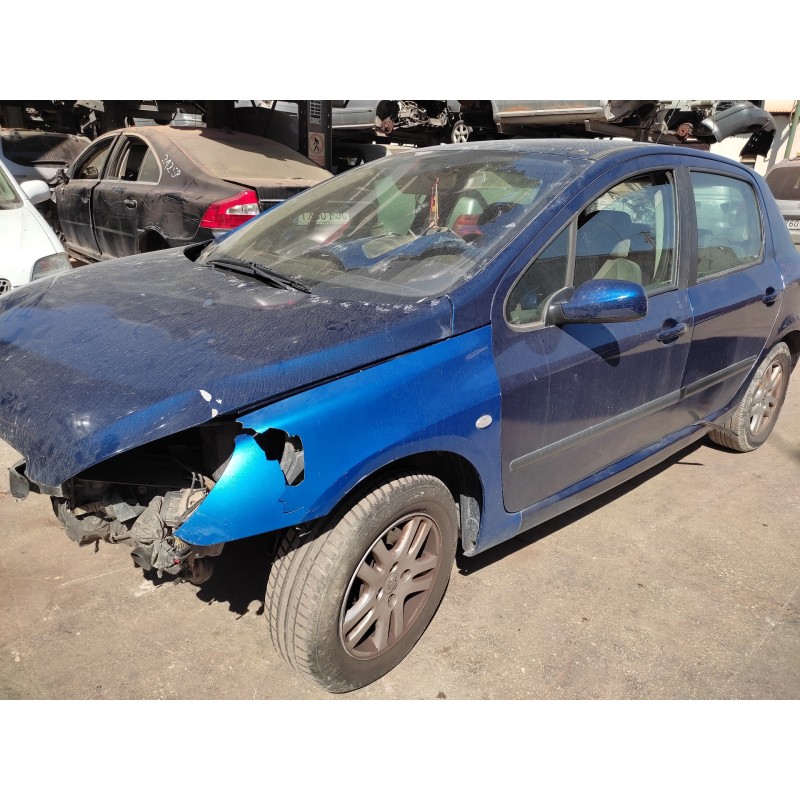 PEUGEOT 307 (S1)