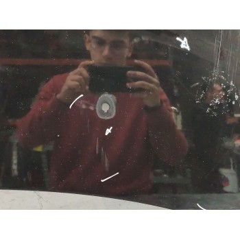 Recambio de capo para citroën c3 1.4 sx plus referencia OEM IAM   