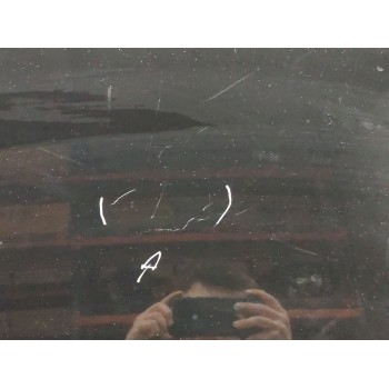 Recambio de capo para citroën c3 1.4 sx plus referencia OEM IAM   