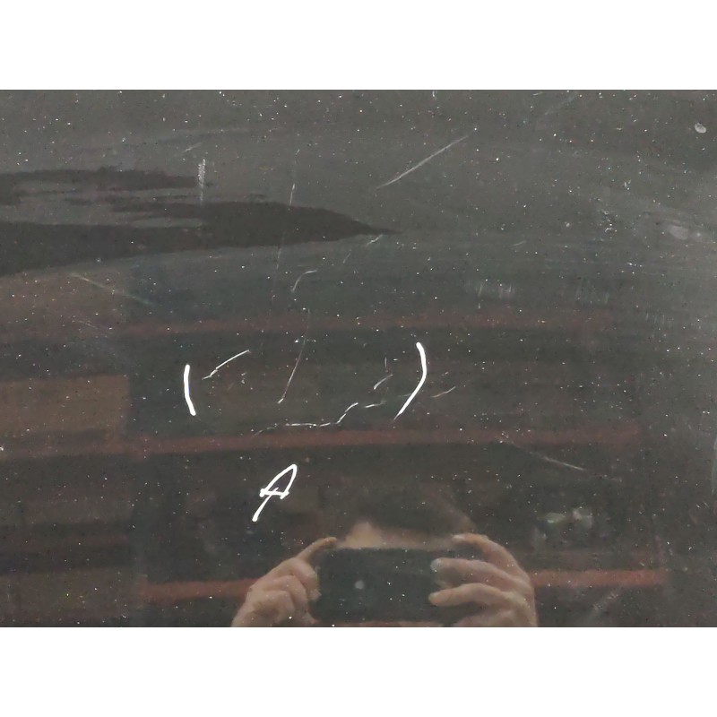 Recambio de capo para citroën c3 1.4 sx plus referencia OEM IAM - Negro 4