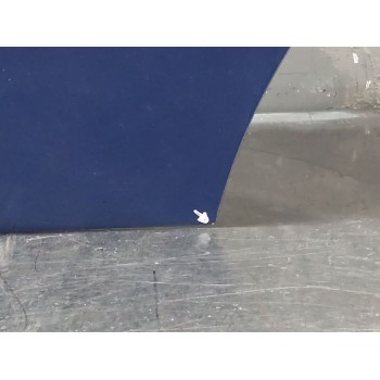 Recambio de puerta trasera izquierda para bmw 3 (e90) 320 d referencia OEM IAM   
