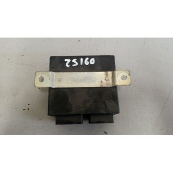 Recambio de modulo electronico para daf serie xf105.xxx 12.9 diesel referencia OEM IAM 6041322044  
