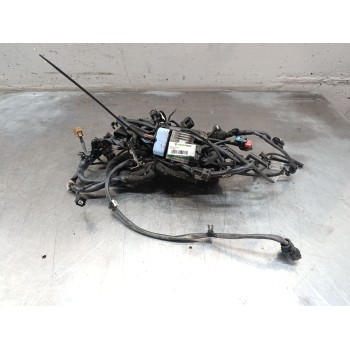 CABLEADO MOTOR 110678071r 
