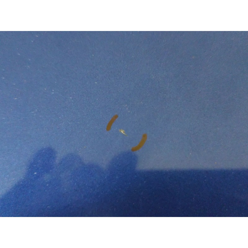 Recambio de porton trasero para bmw 3 (e90) 320 d referencia OEM IAM - Azul 2